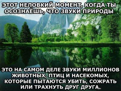 Прикрепленное изображение: Природа.jpeg
